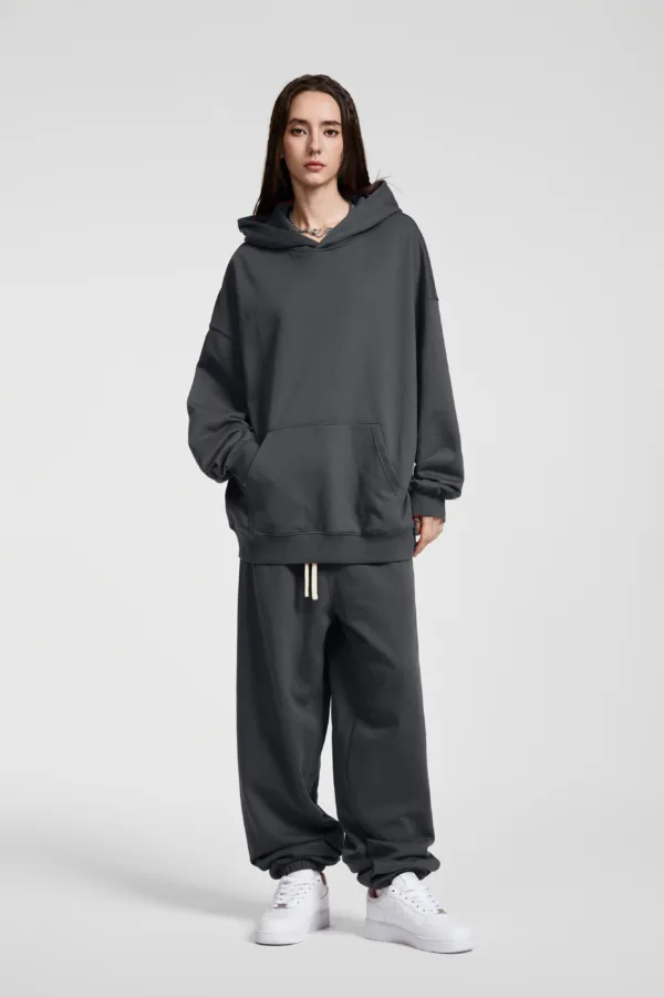 C-HL23839 Heavyweight High-Quality French Terry Hooded Sweatshirt