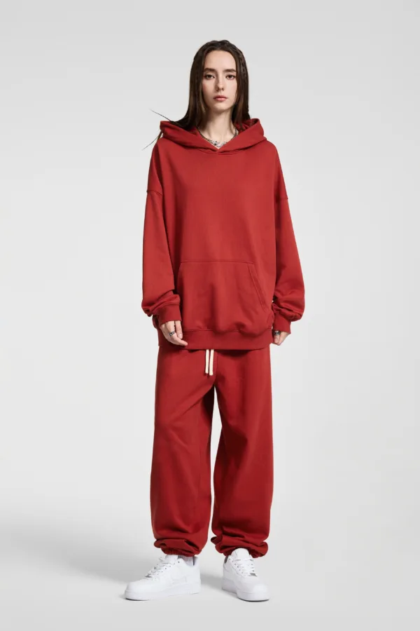 C-HL23839 Heavyweight High-Quality French Terry Hooded Sweatshirt